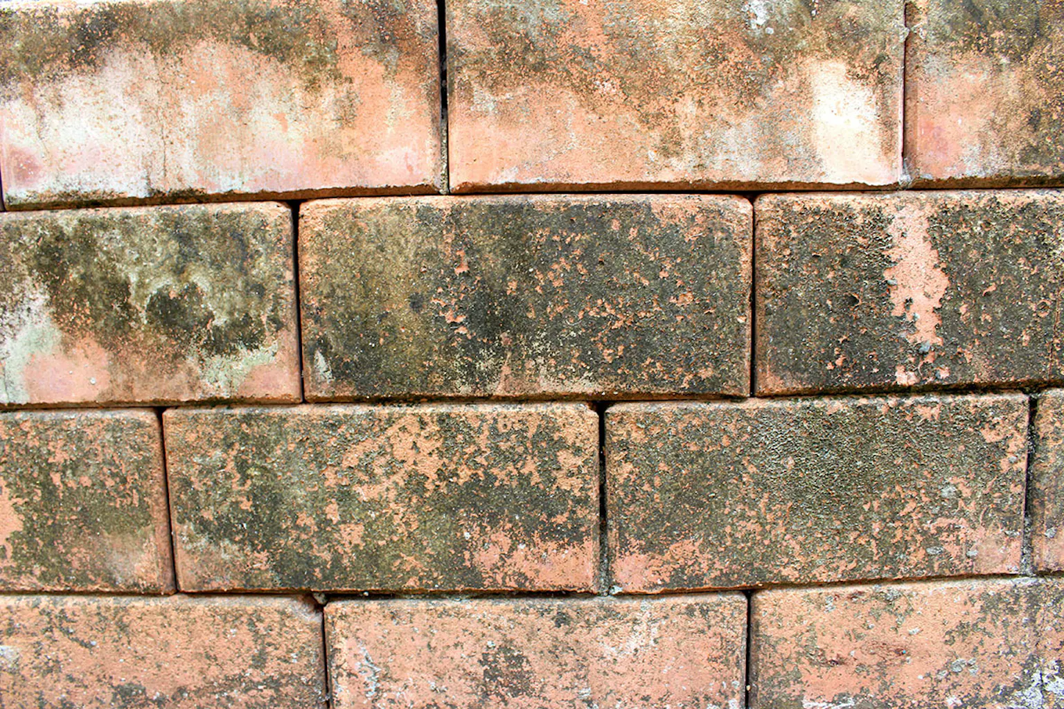 Older brick walls need a thorough check to make sure there are no gaps.