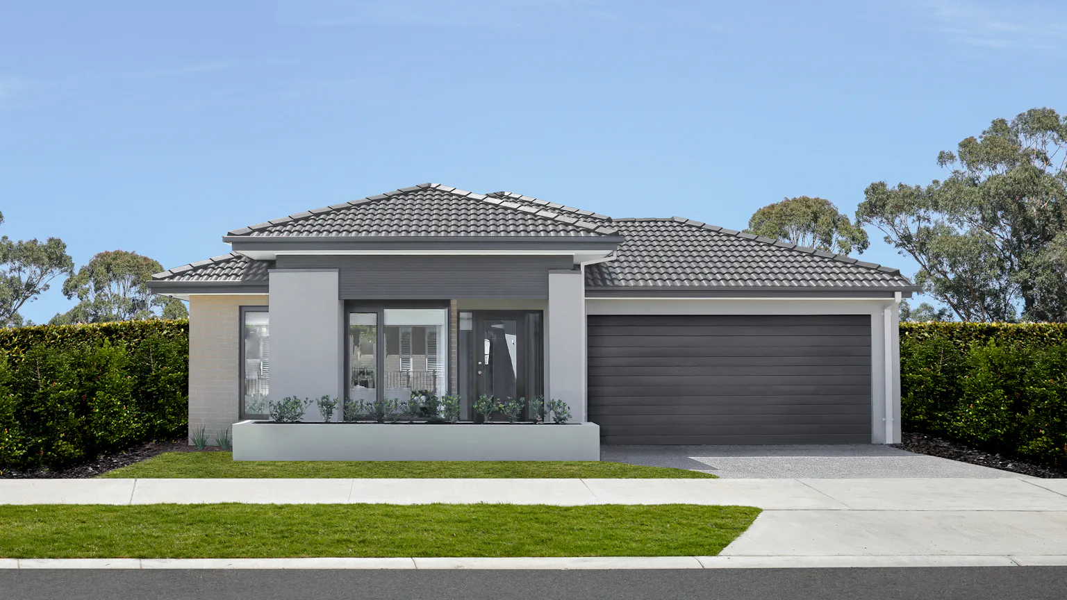 Elk as displayed on the Ainslie